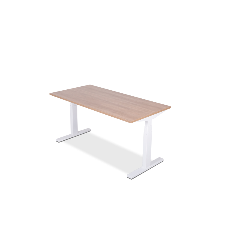 Motion Single high speed elektrisch zit-sta bureau NPR